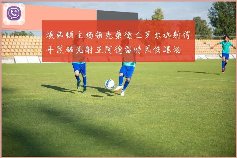 埃弗顿主场领先桑德兰罗尔远射得手黑猫无射正阿德雷特因伤退场