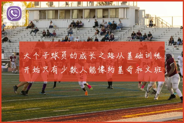 大个子球员的成长之路从基础训练开始只有少数人能像约基奇和文班那样成功